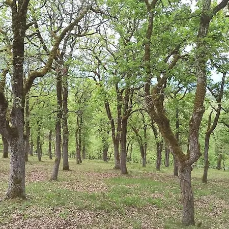 Maison Sur Le Causse Du Quercy Lot 46 Cremps