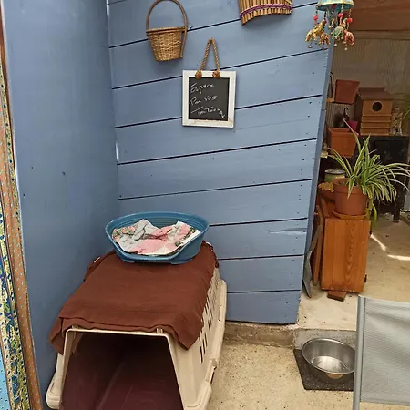 Maison Sur Le Causse Du Quercy Lot 46 Hébergement de vacances *